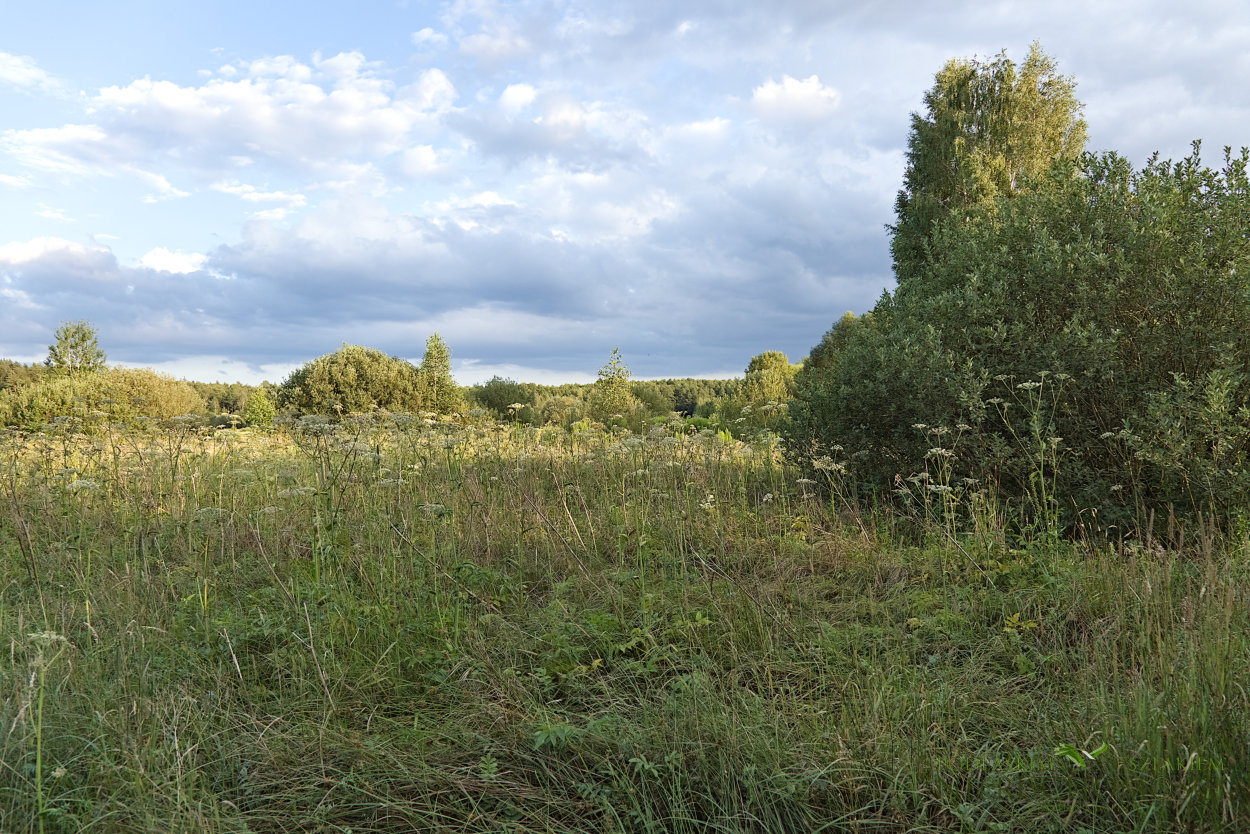 olch2_02