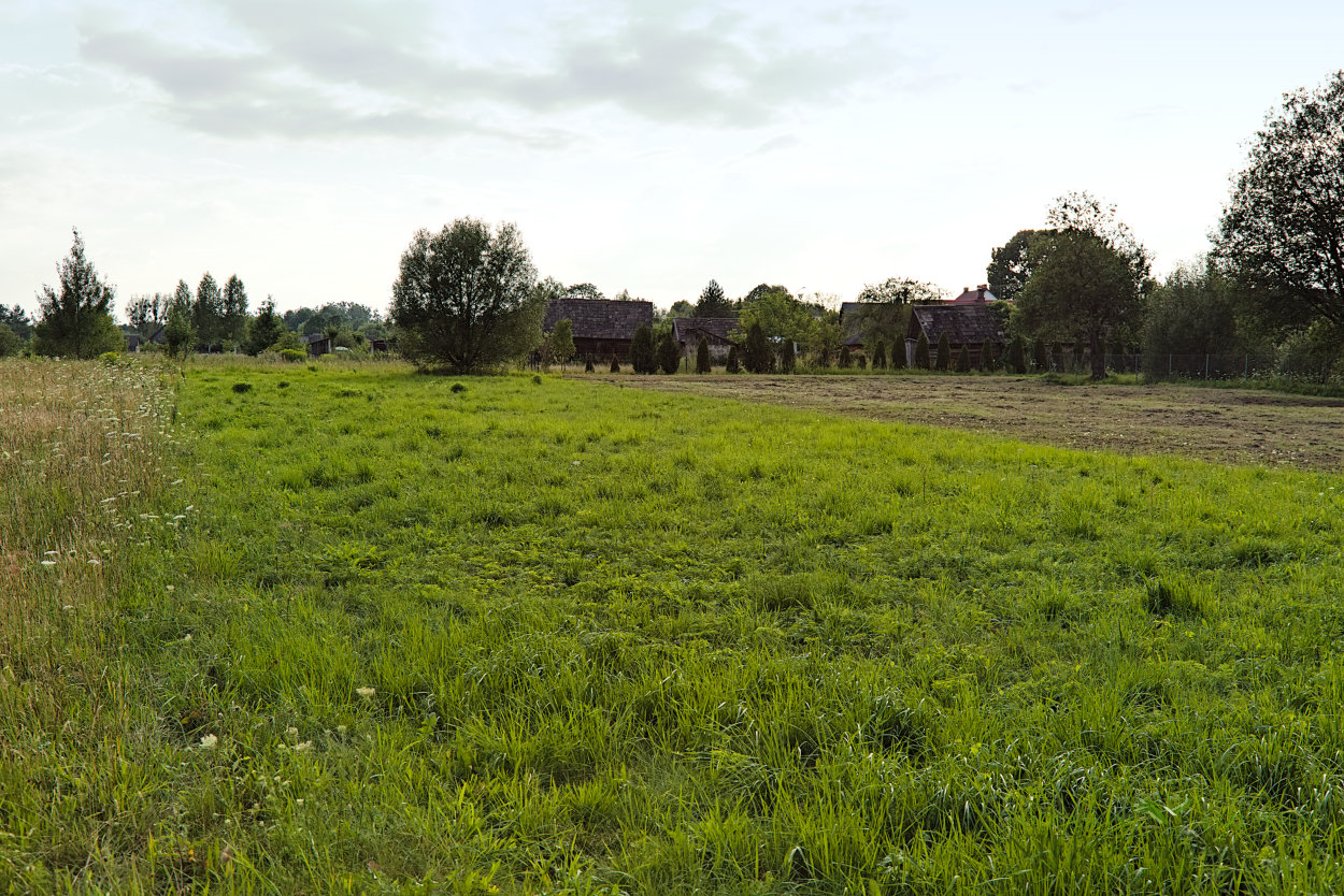 olch_02