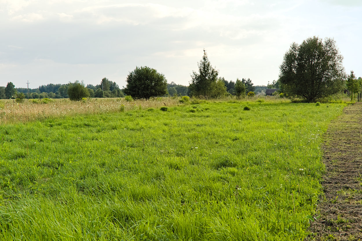 olch_03