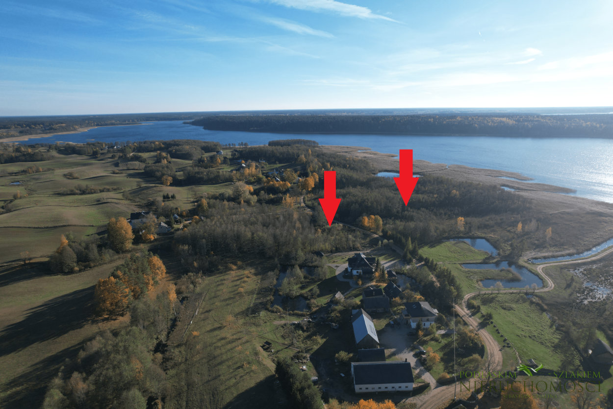 rosrog_02
